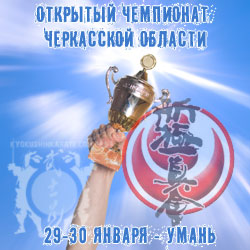 Открытый Чемпионат по Киокушинкай-каратэ (WKO) - Каратэ Киокушин Киев